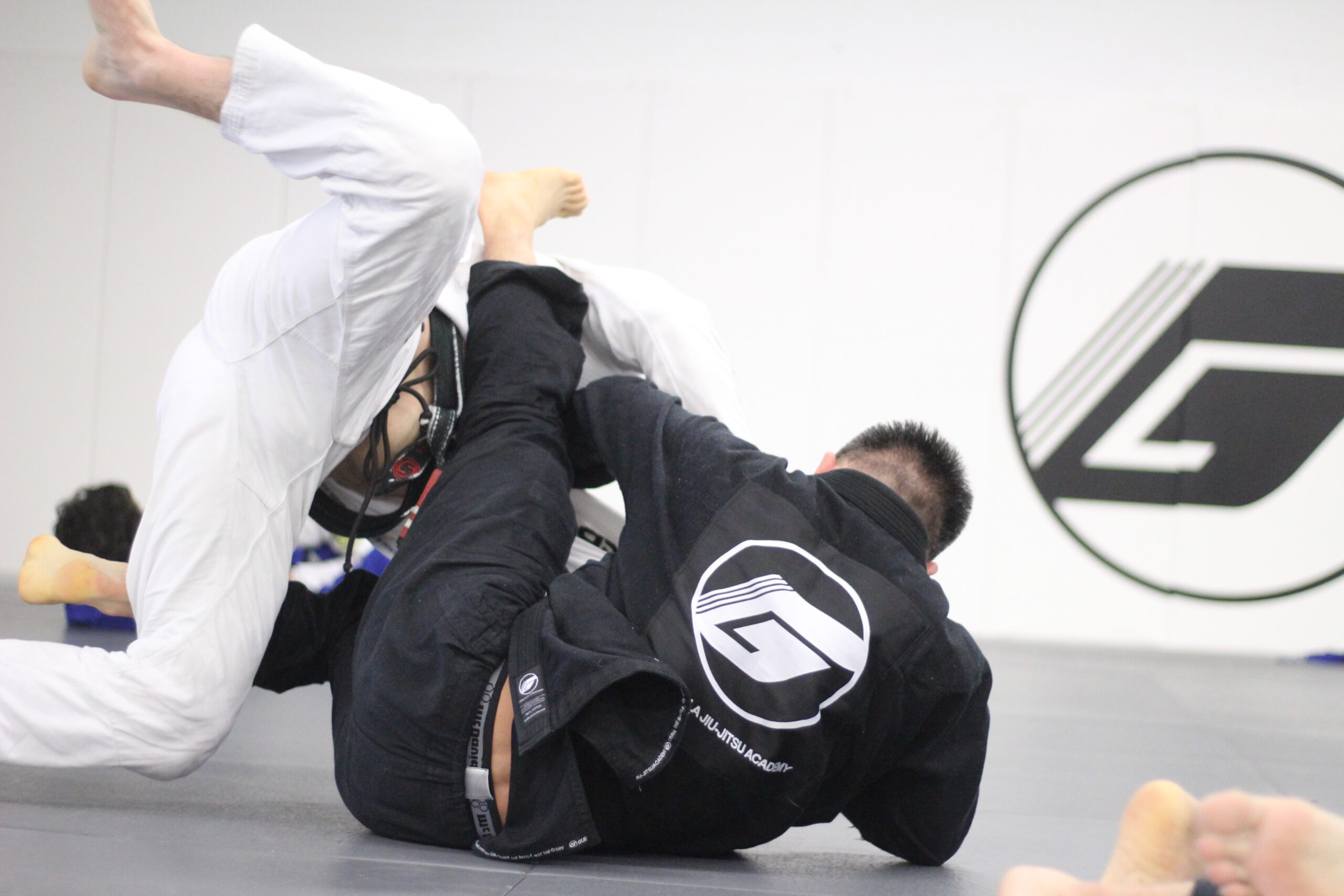 Adult Class Jiu-Jitsu Fundamentals