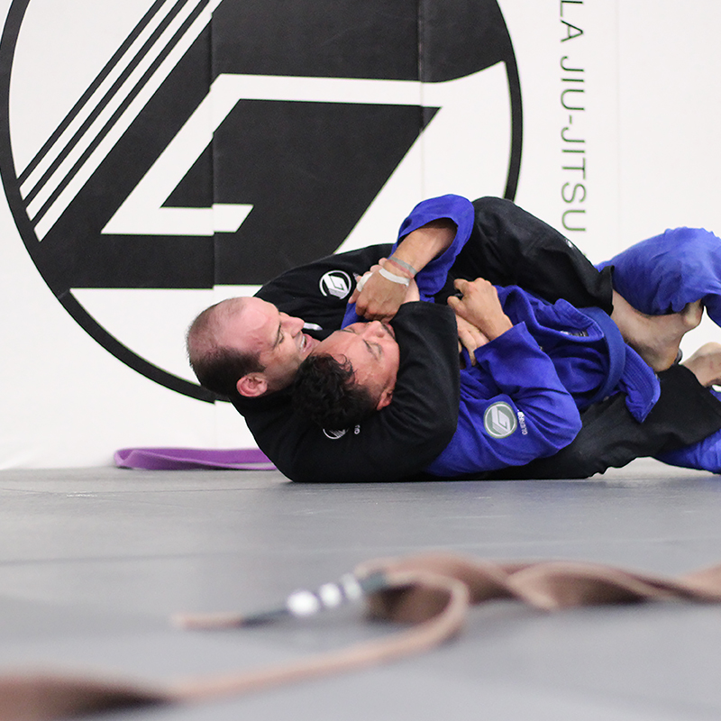 Learn the basic submissions of jiu-jitsu