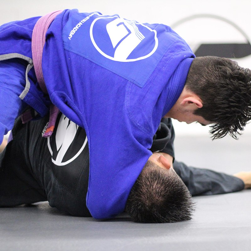 Adult Jiu-JItsu Classes